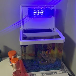 this is my fish tank white with blue led lights